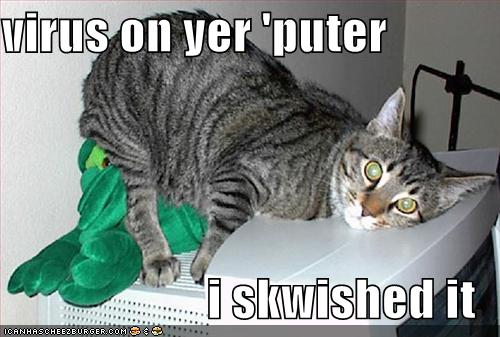 PLEASE DO NOT OPEN LINKS CONTAINING EXE :  wedding Funny Pictures Virus Cat
