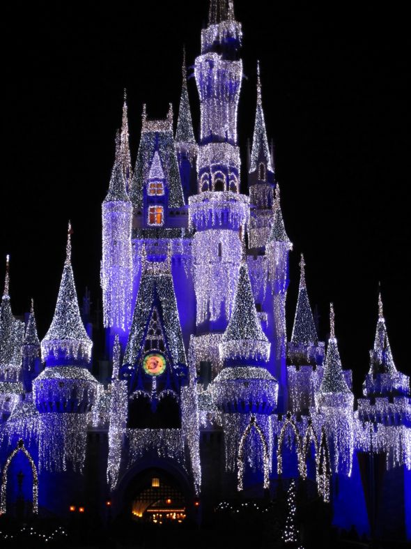 Our Magical Disney Engagement & Ring Pics :  wedding proposal story engagment ring IMG 0641