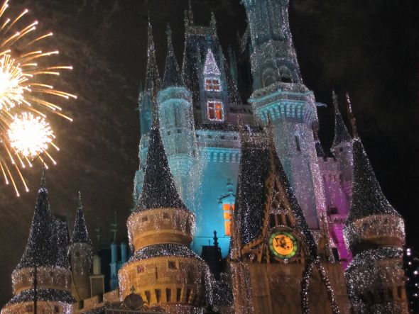 Our Magical Disney Engagement & Ring Pics :  wedding proposal story engagment ring IMG 0724