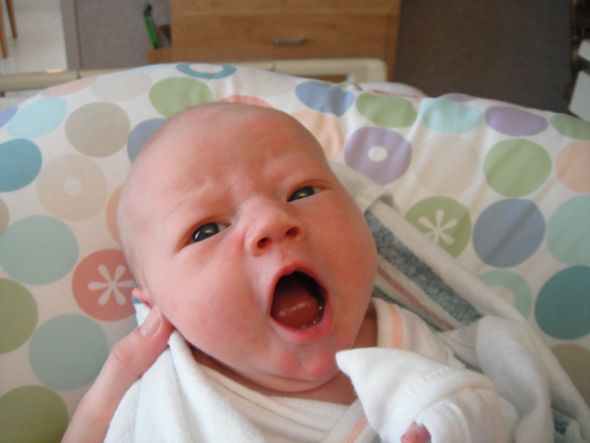 Chicagowife's New Baby Girl! :  wedding Lauren0405