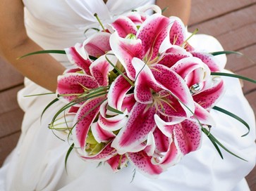Complete the Wedding Survey :  wedding chinese american wedding purple and red 1117
