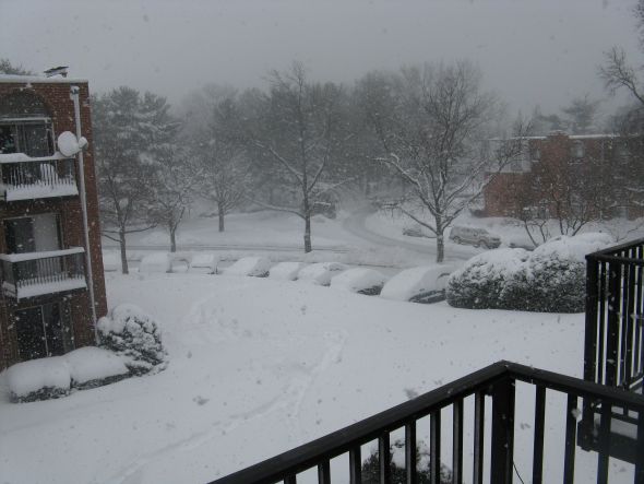 Snowmageddon! (show your pics) :  wedding IMG 7786
