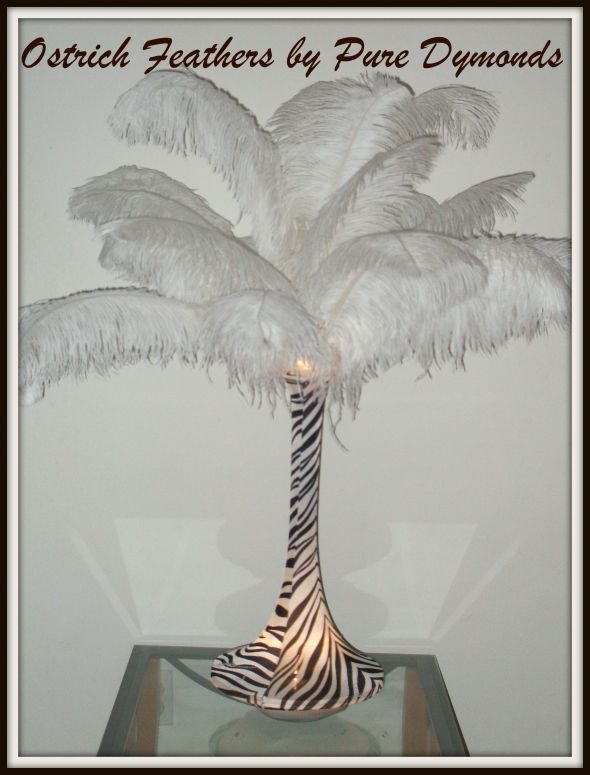 Rent Spandex Ostrich Feathers Centerpieces wedding ostrich feathers 