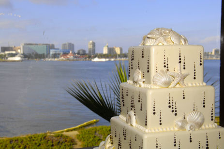 Seashell cake wedding cake shell red velvet buttercream Cake2