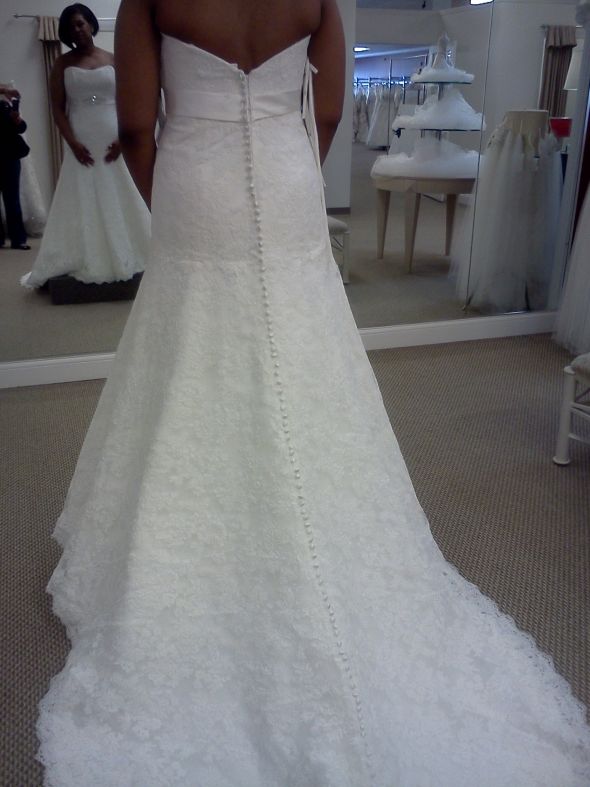 Wedding Wedding Dress Photos