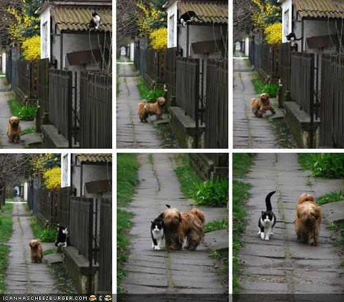 Grrrr .... Sometimes the Bee Makes Me Crazy! :  wedding rude comments guises Catdog