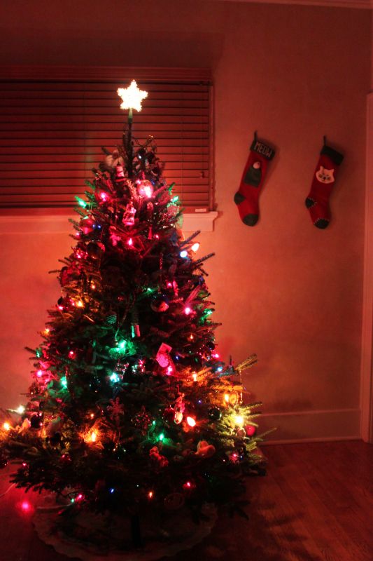 Who's ready for the Snow?!! : wedding O Christmas Tree