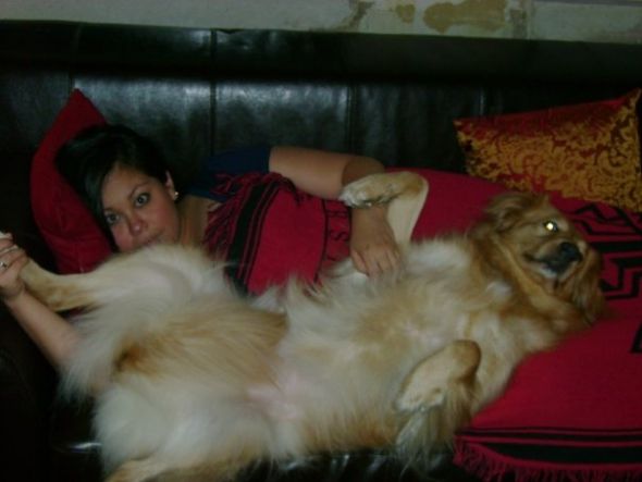 My dog is a sprawler... :  wedding Ginger