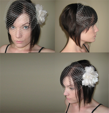 Birdcage veil - Opinions needed! :  wedding birdcage veil Bird