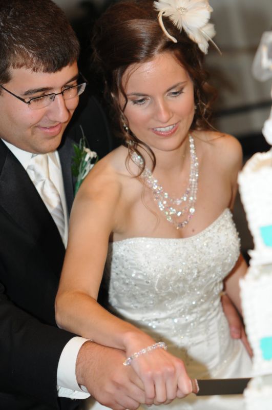 Married bees, did you smash cake in each others faces? :  wedding DSC 4479