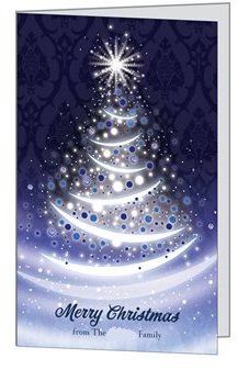 Are you sending out holiday cards this year? :  wedding holiday cards Christmas