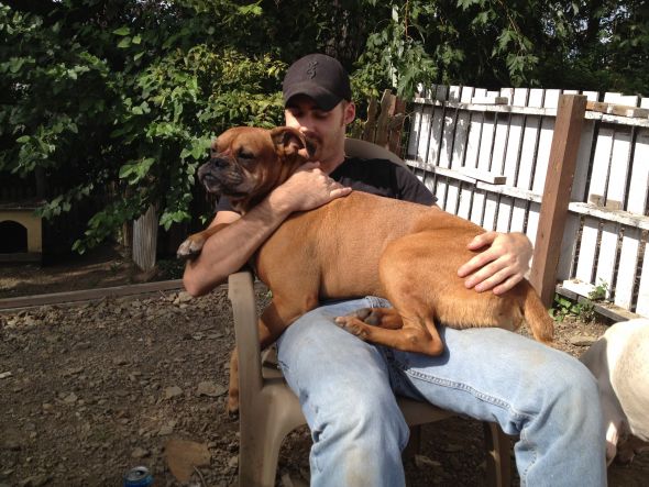 He's My Lover & My Best Friend :  wedding all about us jonathan dog love together perfect Dogs 3
