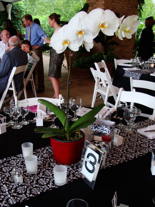 Show off your wholesale wedding flowers : wedding Barbara R.s Wedding Pics 012