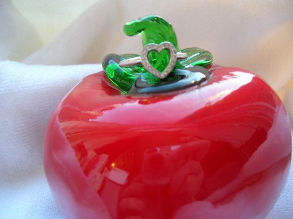 Anyone get embarrassed by their ring??? :  wedding ring E Ring33
