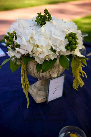 Show off your centerpieces wedding centerpieces price show off WB25