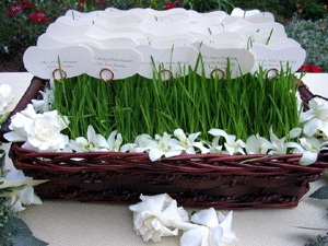 Creative idea's to display place cards? :  wedding Jellybasket
