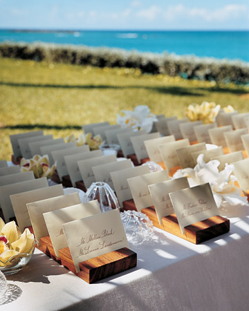 Creative idea's to display place cards? :  wedding Mw0405 Spr05 Rwda14 Xl