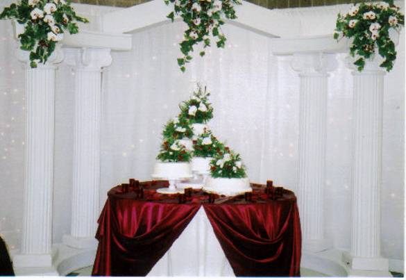 Backdrop for cake table wedding reception decor BaCKDROP