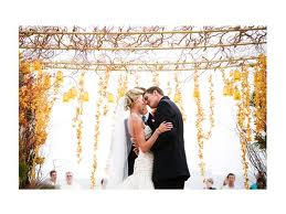 Decoration Ideas...Help! :  wedding decoration outdoor wedding Curtain