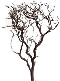 Decoration help! Grapevine balls. :  wedding rustic grapevine aisle Manzanita Branch