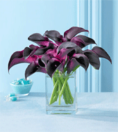 Flowers- June wedding, black bridesmaid dresses. :  wedding black dresses flowers accent Purple Calla Lilies