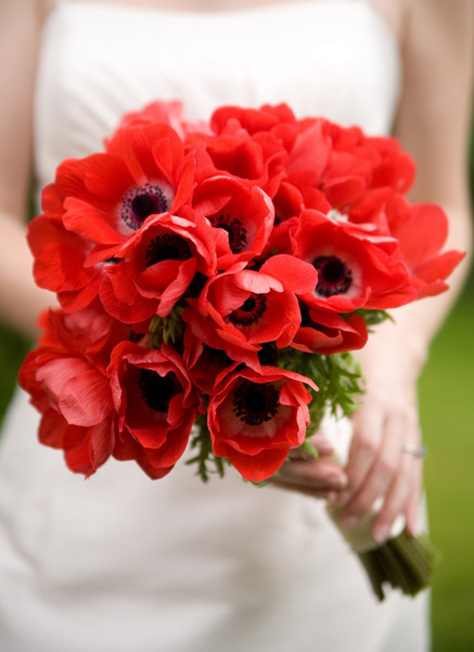 anenome Red black turquoise wedding bridesmaids bouquets red turquoise 