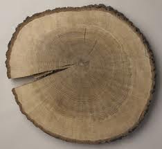 ideas for UNDER my centerpieces? :  wedding centerpiece rustic outdoor table runner Tree Round