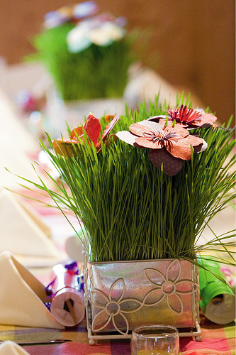 Centerpieces- No candle or Flowers :  wedding center piece diy frame flower bud vase tin tea Wheatgrass4