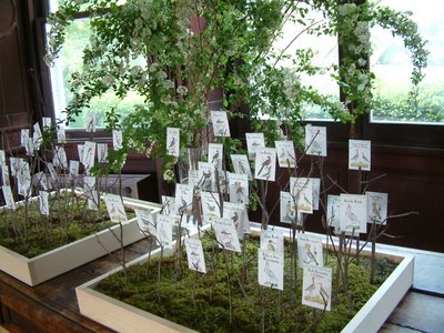 need inspirtation for escort/place cards :  wedding escort place cards P4