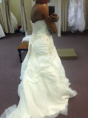 My Dress Journey: Finally Found The One!