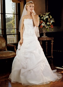 Veil or No Veil...What Type????