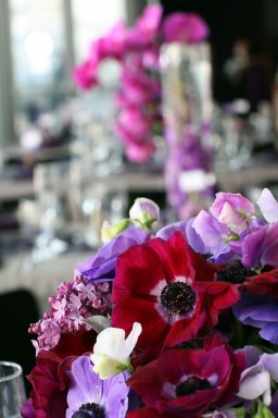 Anyone used anemone's for wedding flowers? :  wedding Reception 7