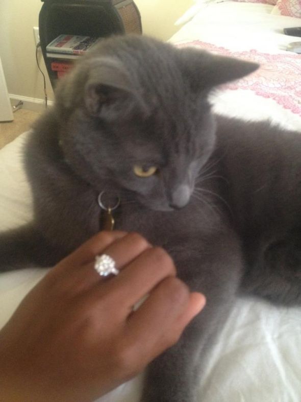 My Engagement Ring!