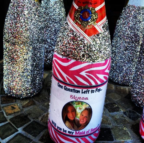 Will you be my bridesmaid? (Picture Heavy)