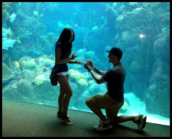 My proposal & engagement ring. ^