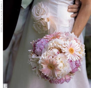 Gerbera Daisy Info :  wedding Beautiful Flowers
