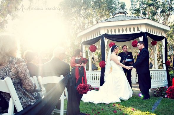 PROFFESIONAL SHOTS (PIC HEAVY) 10-10-10 :  wedding damask red black white black and white red accents san diego windmill carlsbad full figure 33538 445886476458 137689236458 5967502 5189699 N
