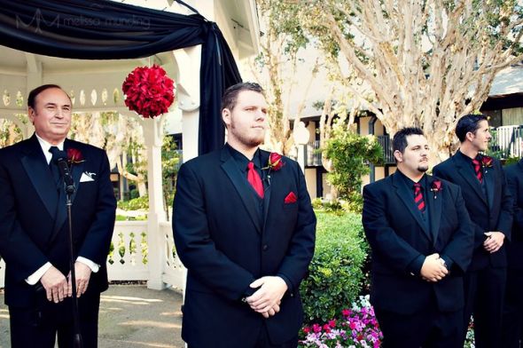 PROFFESIONAL SHOTS (PIC HEAVY) 10-10-10 :  wedding damask red black white black and white red accents san diego windmill carlsbad full figure 72453 445886436458 137689236458 5967500 7160469 N