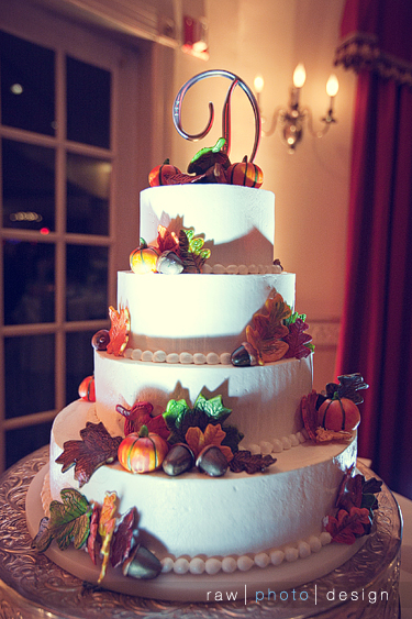 Our Pro-pics from 10/24!--- FINALLY SHARING! pic heavy! :  wedding wedding october 2010 1 101410 1 raw photo justin sarah recap Fox Hill Inn Ct Wedding 0022b
