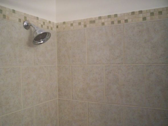 help me pick bathroom tile/border for shower : wedding Dadstilebath