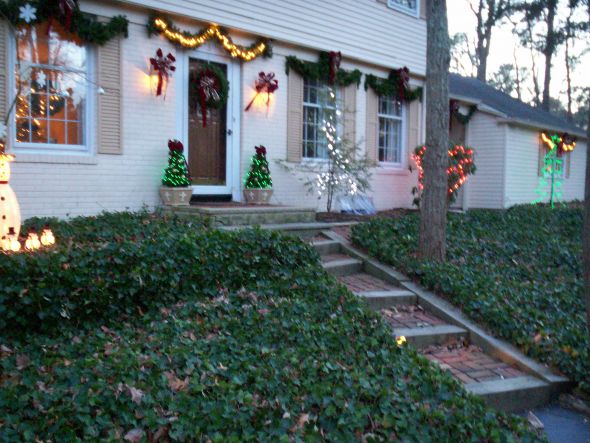 WB 2010: Best Outdoor Decorations :  wedding Outxmas