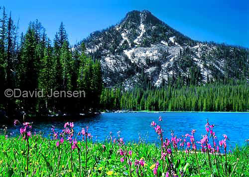 Outdoor lovers seeking location with beautiful mountain scenery : wedding Anthony Lake Shooting