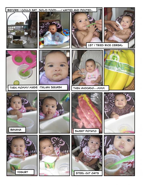 Making Baby Food :  wedding baby food Emi Food Collage 2
