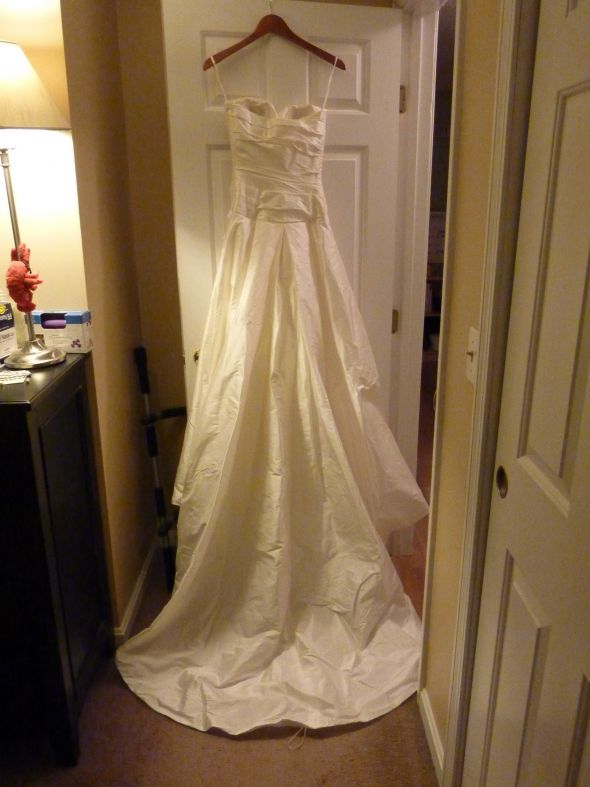 Pronovias Embrujo Wedding Gown : wedding pronivas embrujo P1030151