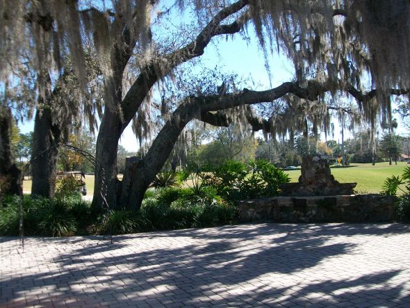 Outdoor, rustic venues- Florida :  wedding florida venue outdoor rustic 100 2396