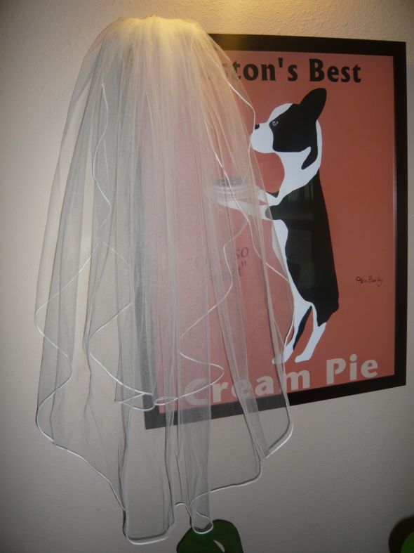 Pronovias veil for sale 2T Ivory, Finger tip. :  wedding pronovias veil 2 tier ivory Veil 002