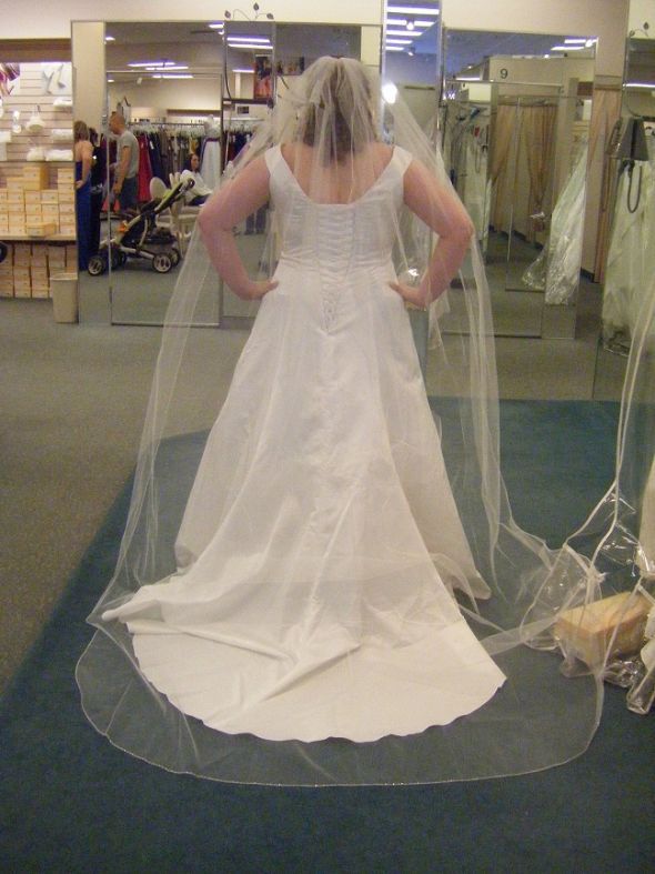David's Bridal Gowns...who has one? : wedding davids bridal full figured 1 budget Ivory Back DB