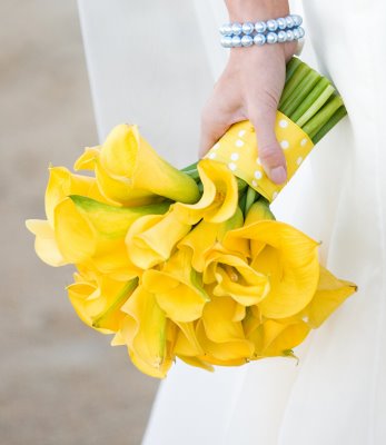 Which flowers with this bridesmaid dress?? :  wedding ReneeLandry.JPG