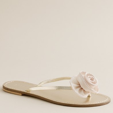 What shoes so do you think will go with these dresses? :  wedding bridesmaid dresses dress shoes carol hannah Erez