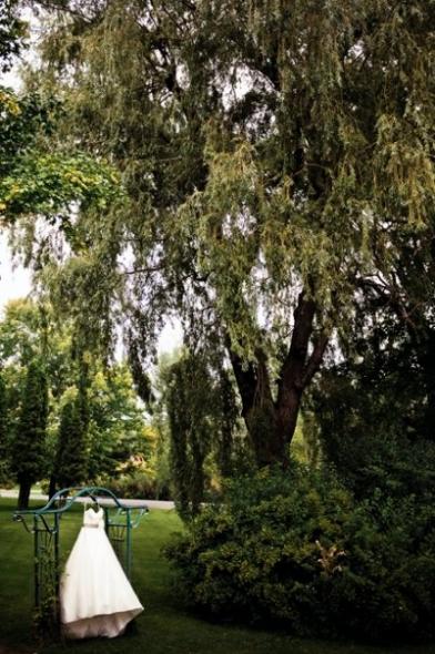 Show us your dress! : wedding dress the one wedding dress wedding gown bridal gown Dress In Tree